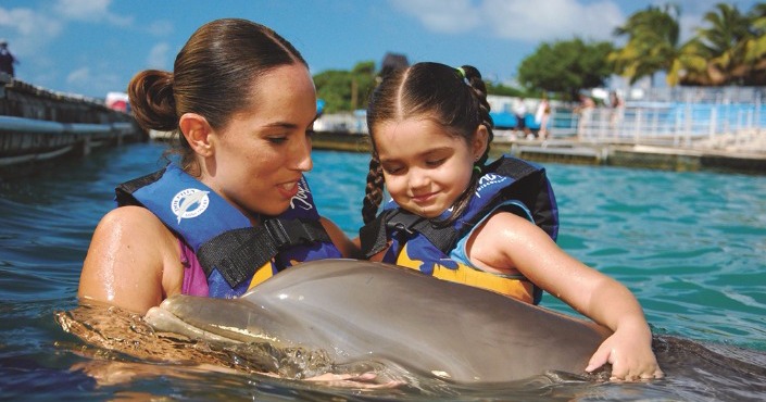 Dolphin Lovers' Swim and Stingray City Experience
